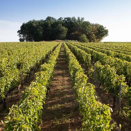 Chateau De Ferrand Oda ve Kahvaltı