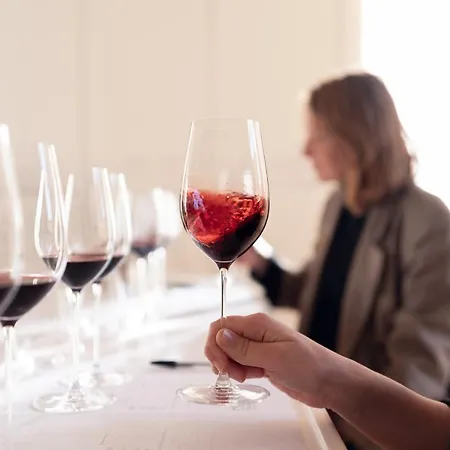 Chateau De Ferrand 4* Saint-Émilion