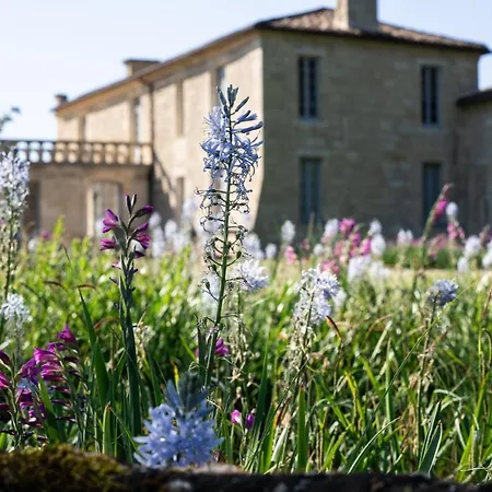 Chateau De Ferrand