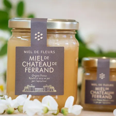 Chateau De Ferrand 4*