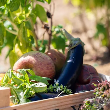 Chateau De Ferrand Oda ve Kahvaltı 4*