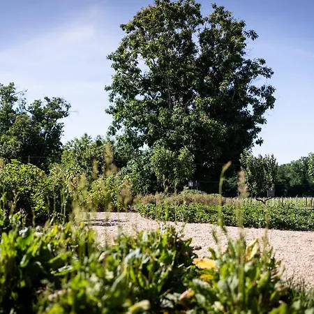 Chateau De Ferrand Bed & Breakfast