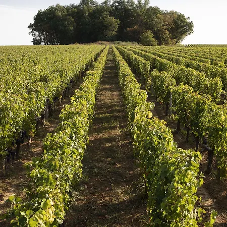 Chateau De Ferrand Panzió 4*