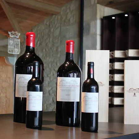 Chateau De Ferrand Panzió