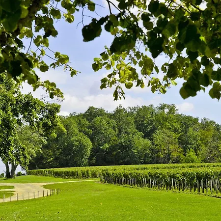 Chateau De Ferrand Saint-Émilion