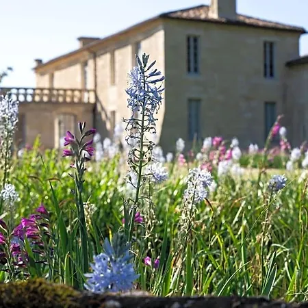 Chateau De Ferrand Bed & Breakfast