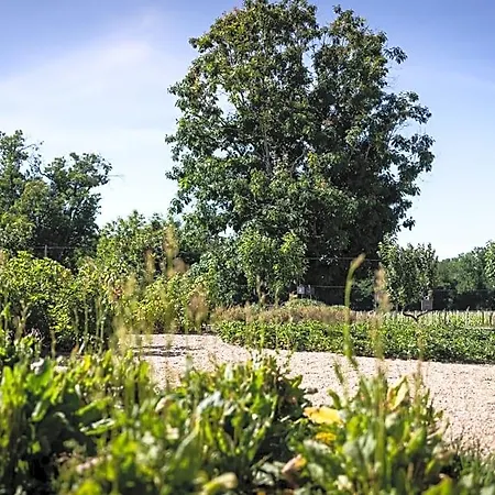 Chateau De Ferrand Bed & Breakfast