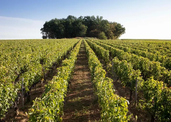 Château De Ferrand Alojamento de Acomodação e Pequeno-almoço