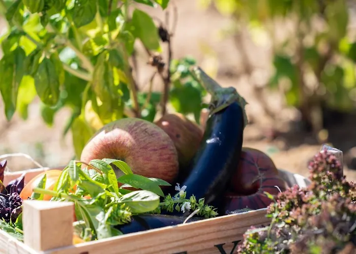 Château De Ferrand Alojamento de Acomodação e Pequeno-almoço 4*