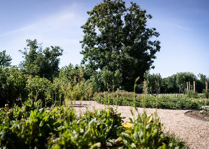 Château De Ferrand Alojamento de Acomodação e Pequeno-almoço