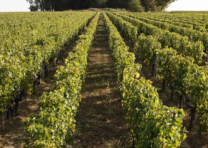 Château De Ferrand Alojamento de Acomodação e Pequeno-almoço 4*