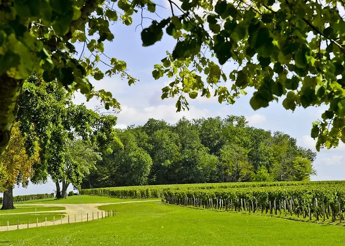 Château De Ferrand Saint-Émilion